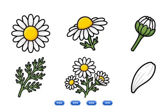 Cute Daisy Flower Clipart Set Graphics