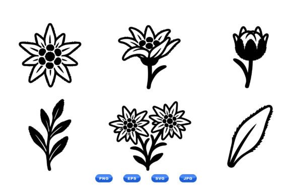 Hand Drawn Alpine Flower Graphics for Branding