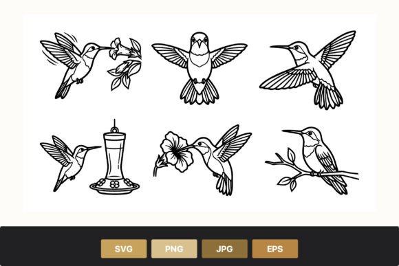 Hummingbird Line Art Set Graphics for Crafting