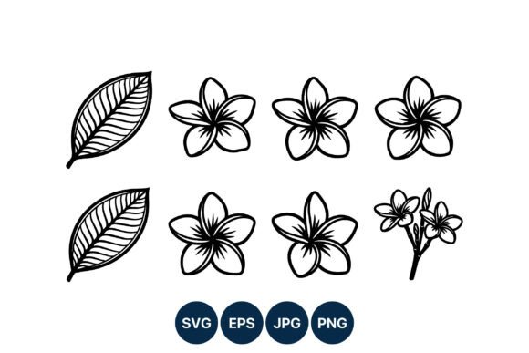 Plumeria Flower Leaf Line Art