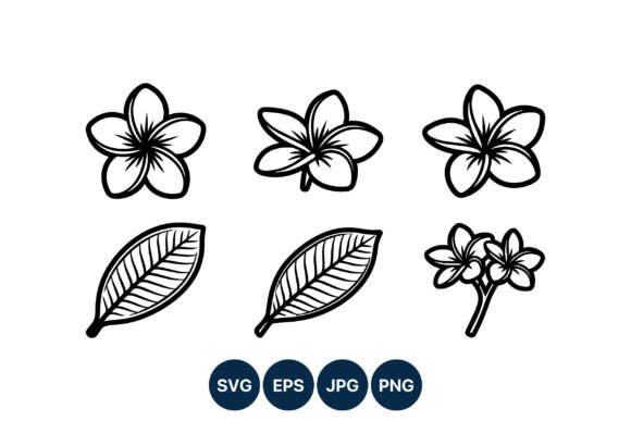 Plumeria Flower Line Art Vector Set: A Graphic Designer’s Perspective