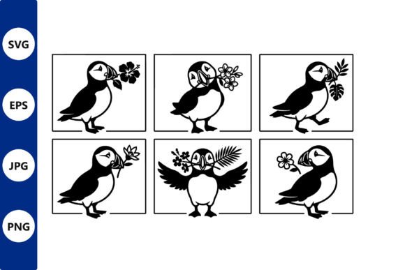 Puffin Vector Set in Square Frames with Graphics