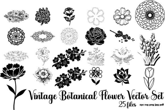 Vintage Botanical Flower Vector Set